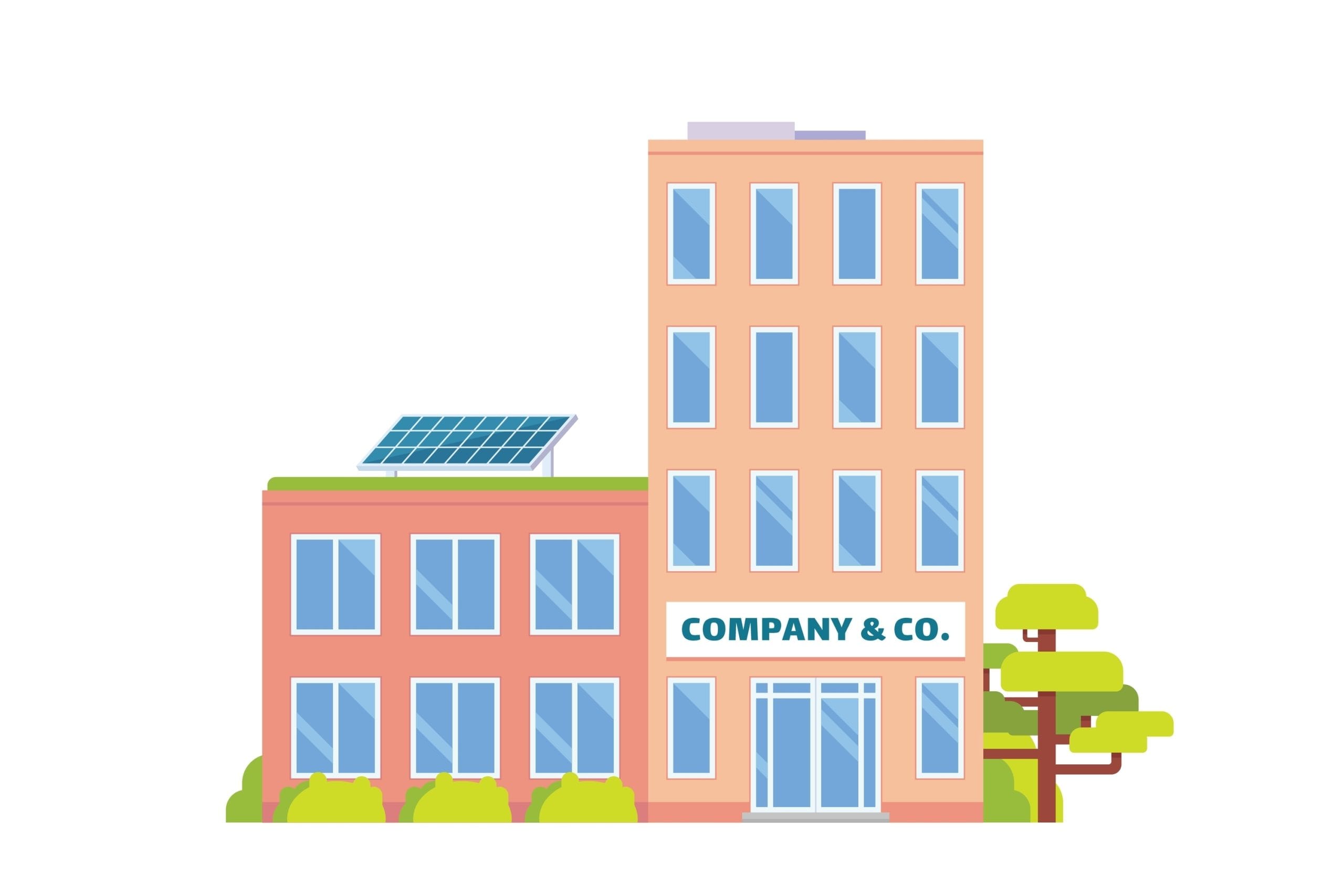 The importance of effectively managing director loans